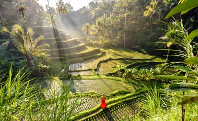 Bali
