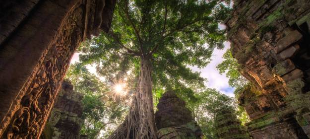 angkor wat