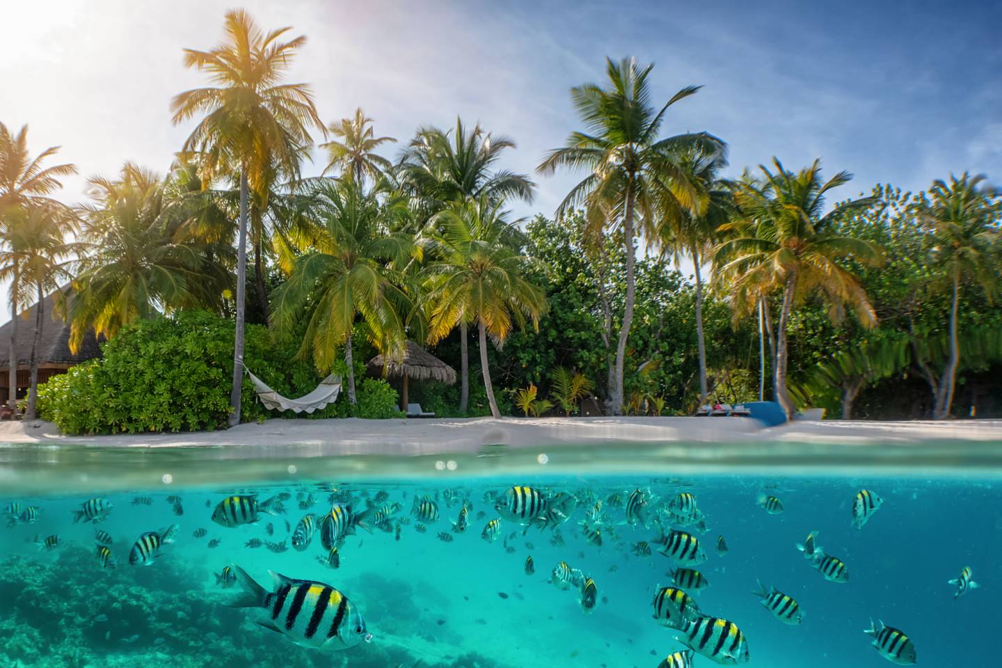 seychelles snorkel beach