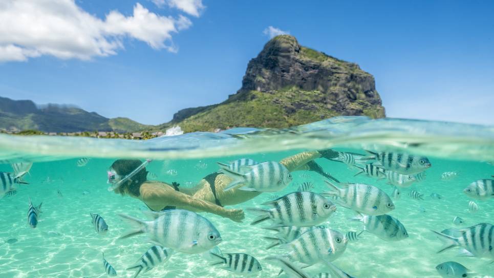 woman snorkeling below water with fish