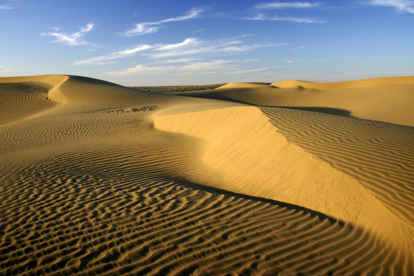 Thar Desert India