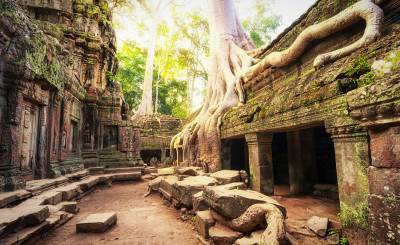 angkor wat