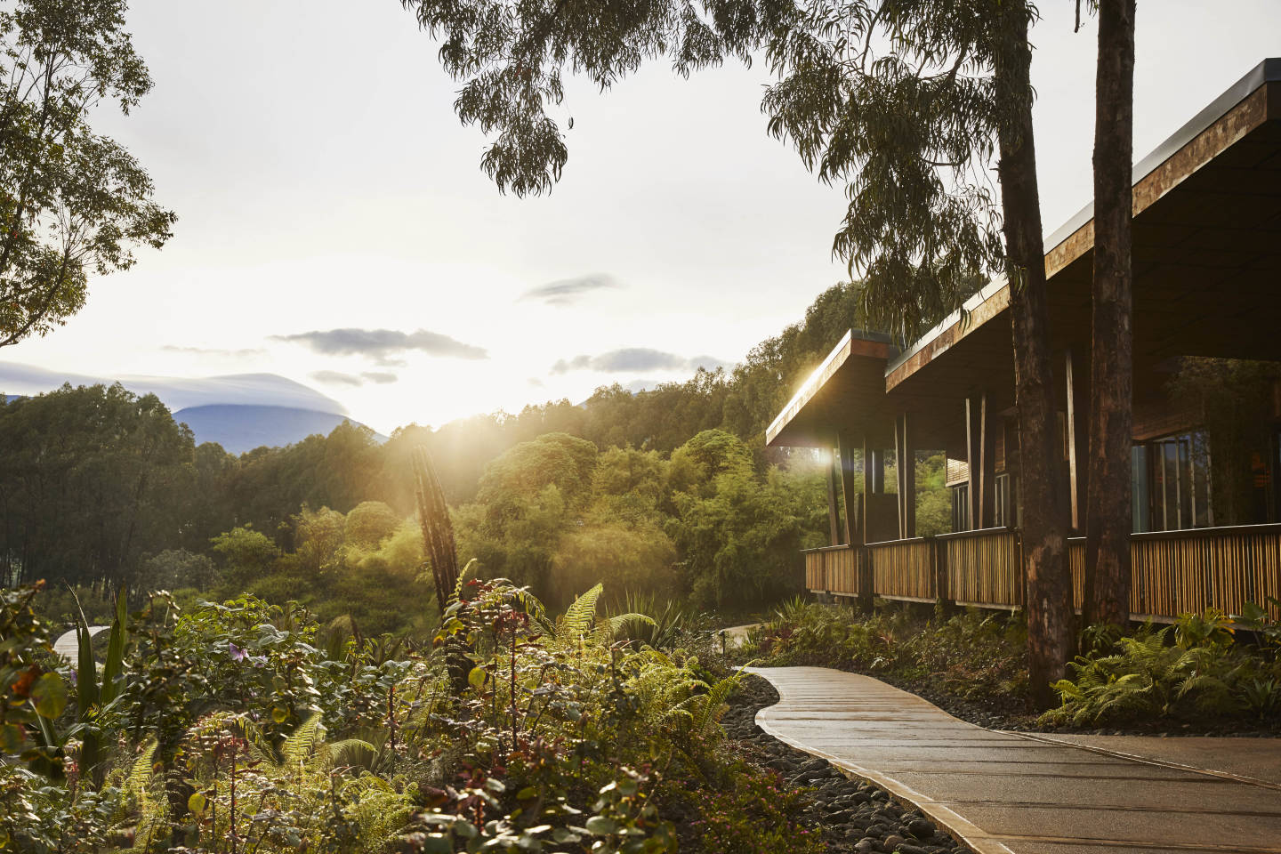 One&Only Gorilla's Nest Rwanda