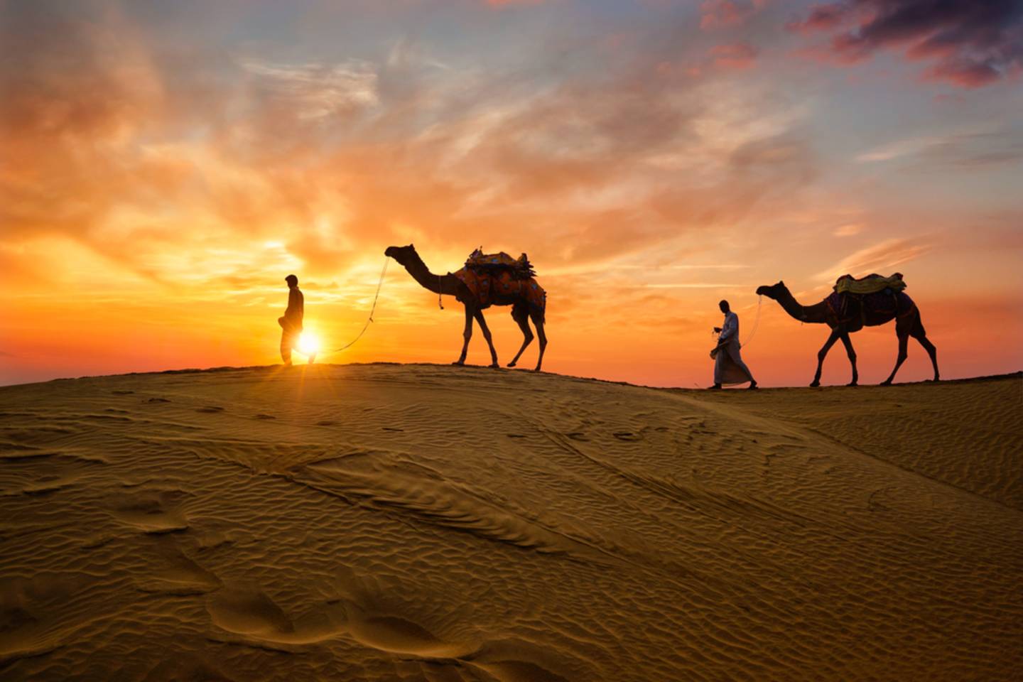 thar desert