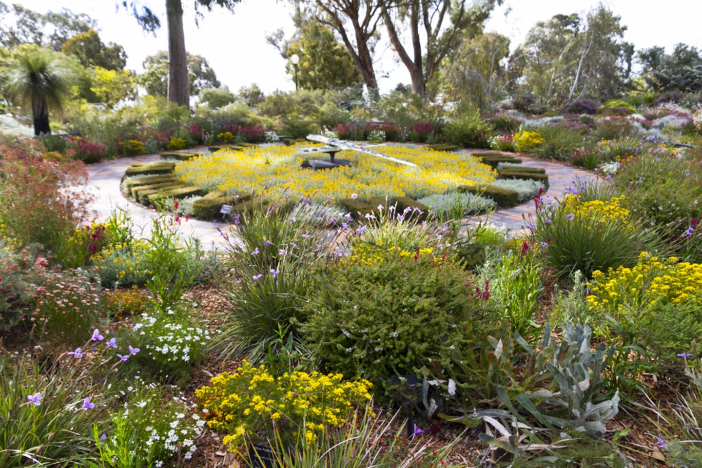 Kings Park Botanic Gardens, Perth, Australia