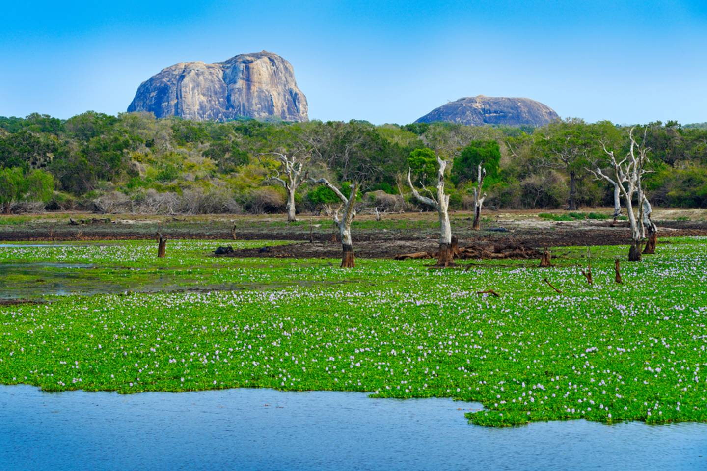 Yala National Park, Sri Lanka