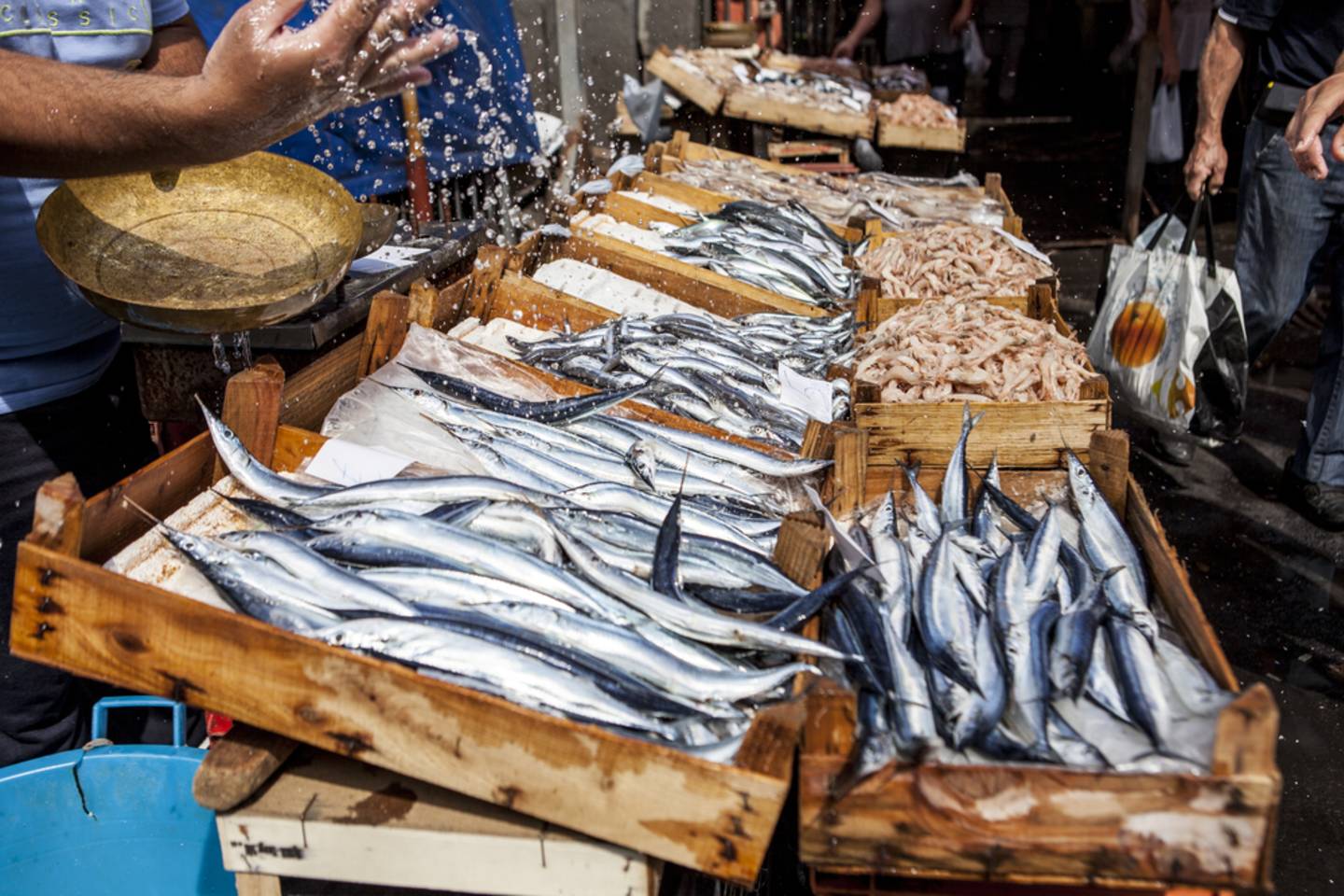 Kirinda Fish Market